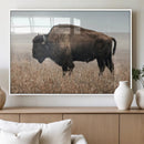 American Bison Wall Art Canvas Print – Majestic Buffalo