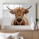 Scottish Highland Cow Canvas Print, Framed Highland Cow