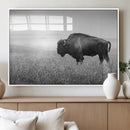 Black White Bison Canvas Wall Art, Rustic American Buffalo by MyGreatCanvas | Canvas Wall Art Prints | Photo Prints & Wall Decor
