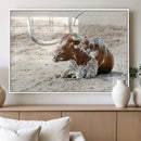 Majestic Longhorn Wall Art Canvas Print – Resting on Sunlit by MyGreatCanvas | Canvas Wall Art Prints | Photo Prints & Wall Decor