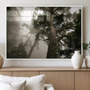 Misty Forest Tall Trees Foggy Atmosphere Nature Serenity by MyGreatCanvas | Canvas Wall Art Prints | Photo Prints & Wall Decor