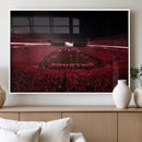 Dooley Stadium Wall Art, Sports Arena Canvas Print, Dooley by MyGreatCanvas | Canvas Wall Art Prints | Photo Prints & Wall Decor