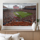 Jordan-Hare Stadium Wall Art Canvas Print, College Sports by MyGreatCanvas | Canvas Wall Art Prints | Photo Prints & Wall Decor