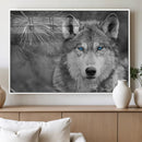 Wild Wolf Blue Eye Wall Art Canvas Print