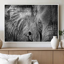 Wild Old Elephant Wall Art Canvas Print