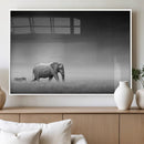 Elephand and Zebra Wall Art Canvas Print, Modern Artwork