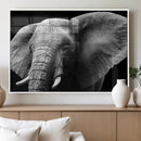 Big Elephant Close Up Wall Art Canvas Print
