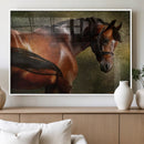 Majestic Brown Horse Wall Art Canvas Print – Framed