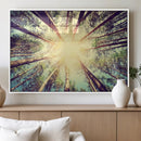Tree and Sunshine Canvas Print