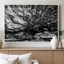Mighty Angel Oak Wall Art | Angel Oak Tree Art Print by MyGreatCanvas | Canvas Wall Art Prints | Photo Prints & Wall Decor