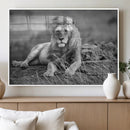King Forest Lion Wall Art Canvas Print – Framed Majestic by MyGreatCanvas | Canvas Wall Art Prints | Photo Prints & Wall Decor