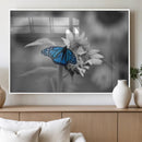 Blue Butterfly Black and White Canvas Wall Art by MyGreatCanvas | Canvas Wall Art Prints | Photo Prints & Wall Decor
