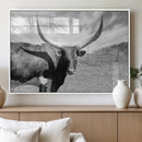 Cattle Wall Art Longhorn Cow Canvas Print