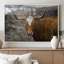 Texas Longhorn Canvas Wall Art - Longhorn Steer Canvas Wall by MyGreatCanvas | Canvas Wall Art Prints | Photo Prints & Wall Decor
