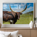 Longhorn and Cow Wall Art, Country Cow Wall Decor Canvas by MyGreatCanvas | Canvas Wall Art Prints | Photo Prints & Wall Decor