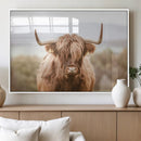 Scottish Serene Highland Cow Canvas Wall Art – Serene