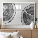 Abstract Large Tree Rings – Minimalist Black and White Wood
