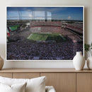 South Carolina Gamecocks Football Team Print - Columbia