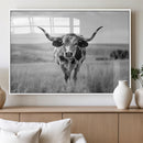 Texas Cow Longhorn Wall Art Canvas Print for Farm House Wall