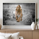 Jaguar Wall Art Canvas Print - Majestic Big Cat in Focused by MyGreatCanvas | Canvas Wall Art Prints | Photo Prints & Wall Decor