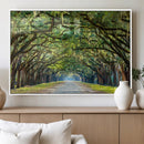 Wormsloe State Plantation Driveway Wall Art Canvas Print