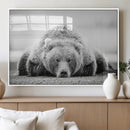 Resting Grizzly Bear Wall Art Canvas Print – Majestic Lazy by MyGreatCanvas | Canvas Wall Art Prints | Photo Prints & Wall Decor