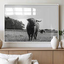 Black and White Highland Cow Wall Art Canvas Print | Rustic