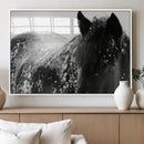 Black Horse in Snow Canvas Print | Winter Horse Wall Art |