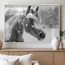 Black Horse Winter Wall Art | Ready to Hang and Framed |
