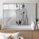 Majestic White Horse Wall Art | Ready to Hang and Framed |