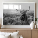 Scottish Highland Cow Wall Art | Black and White Canvas