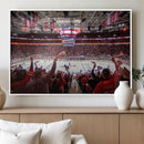 Carolina Hurricanes Ice Hockey Stadium Wall Art, Carolina