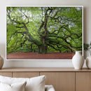 Framed Angel Oak Tree Wall Art - 3-Panel Canvas Prints,