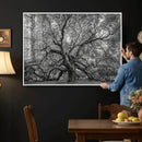 Majestic Angel Oak Tree Black and White Canvas Print – Multi by MyGreatCanvas | Canvas Wall Art Prints | Photo Prints & Wall Decor