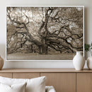Sepia Framed Angel Oak Tree Wall Art - 3-Panel Canvas