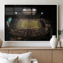 Wake Forest University Demon Deacons Canvas Printi, Football