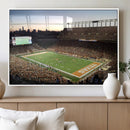 Darrell K Royal-Texas Memorial Stadium Canvas Wall Art -