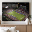 Florida Atlantic University Owls Canvas Print, Football Team by MyGreatCanvas | Canvas Wall Art Prints | Photo Prints & Wall Decor