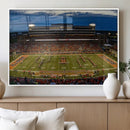 University of Illinois Fighting Illini Football Team Print - by MyGreatCanvas | Canvas Wall Art Prints | Photo Prints & Wall Decor