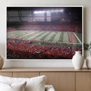 Rutgers University Scarlet Knights Football Team Print -