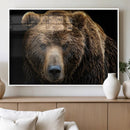 Grizzly Brown Bear Canvas Wall Art, Wildlife Animal Canvas