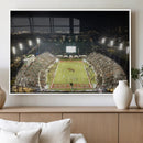 Florida A&M Rattlers Football Team Print - Tallahassee Bragg