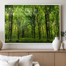 Lush Green Forest Canvas Print | 3-Panel Forest Wall Art | by MyGreatCanvas | Canvas Wall Art Prints | Photo Prints & Wall Decor