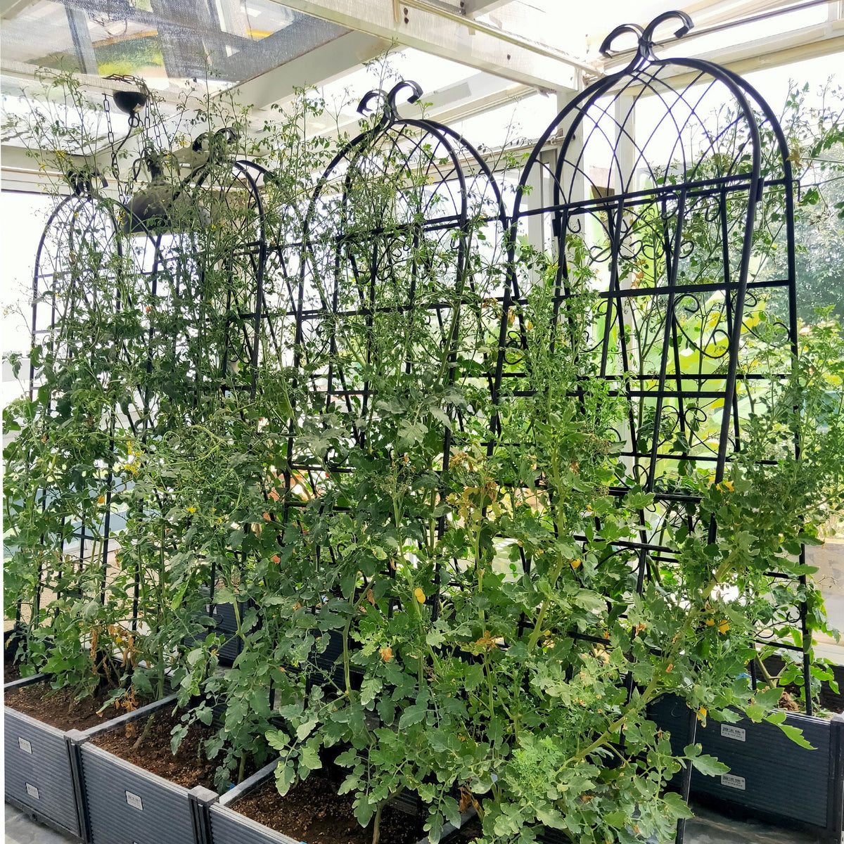 Metal Garden Rustproof Trellis For Climbing Plants Outdoor Flower Support, photo 19 of 40