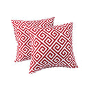 2 Pack Outdoor Pillow Covers - 18x18 Inch