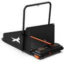 Dog Treadmill For Small To Medium Dogs With LED Display - Black / Orange by HouseOfZazla