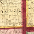 Vintage Map of Cass County, Michigan 1860