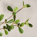 Lifelike Artificial Olive Tree With Plastic Pot For Home Living Room Decor - Green Leaves