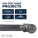 4 in. Black Plug