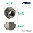 2 1/2 in. Black Union